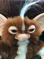 Mogwai Rayita